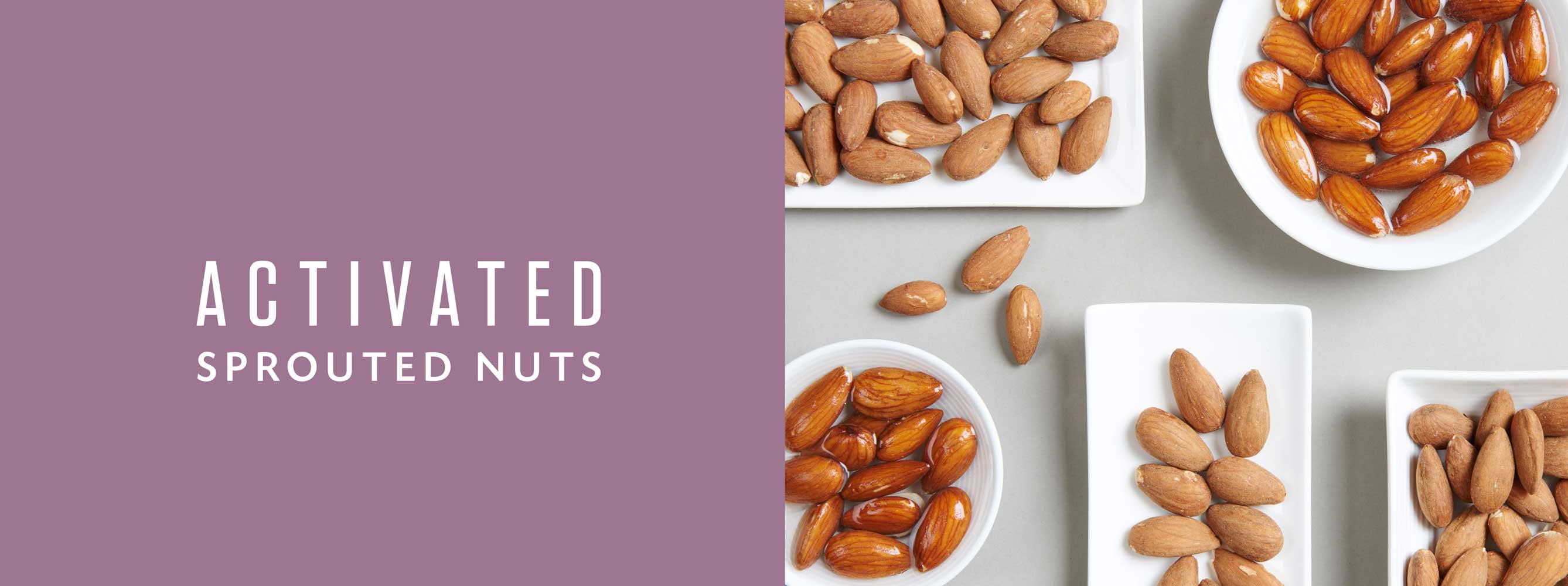 sprouted nuts - living intentions